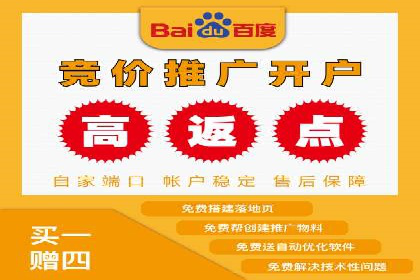 百度竞价广告投放的ROI优化：经典案例分享